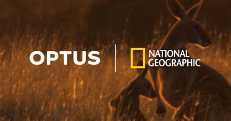 geo optus